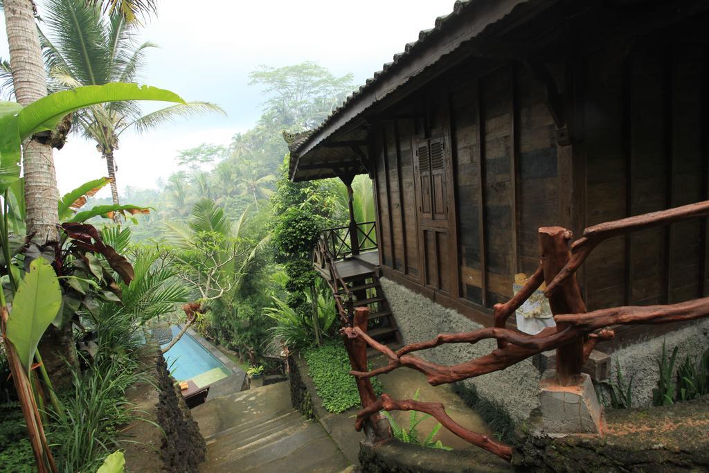 Ubud Jungle Holy Water Luaran gambar